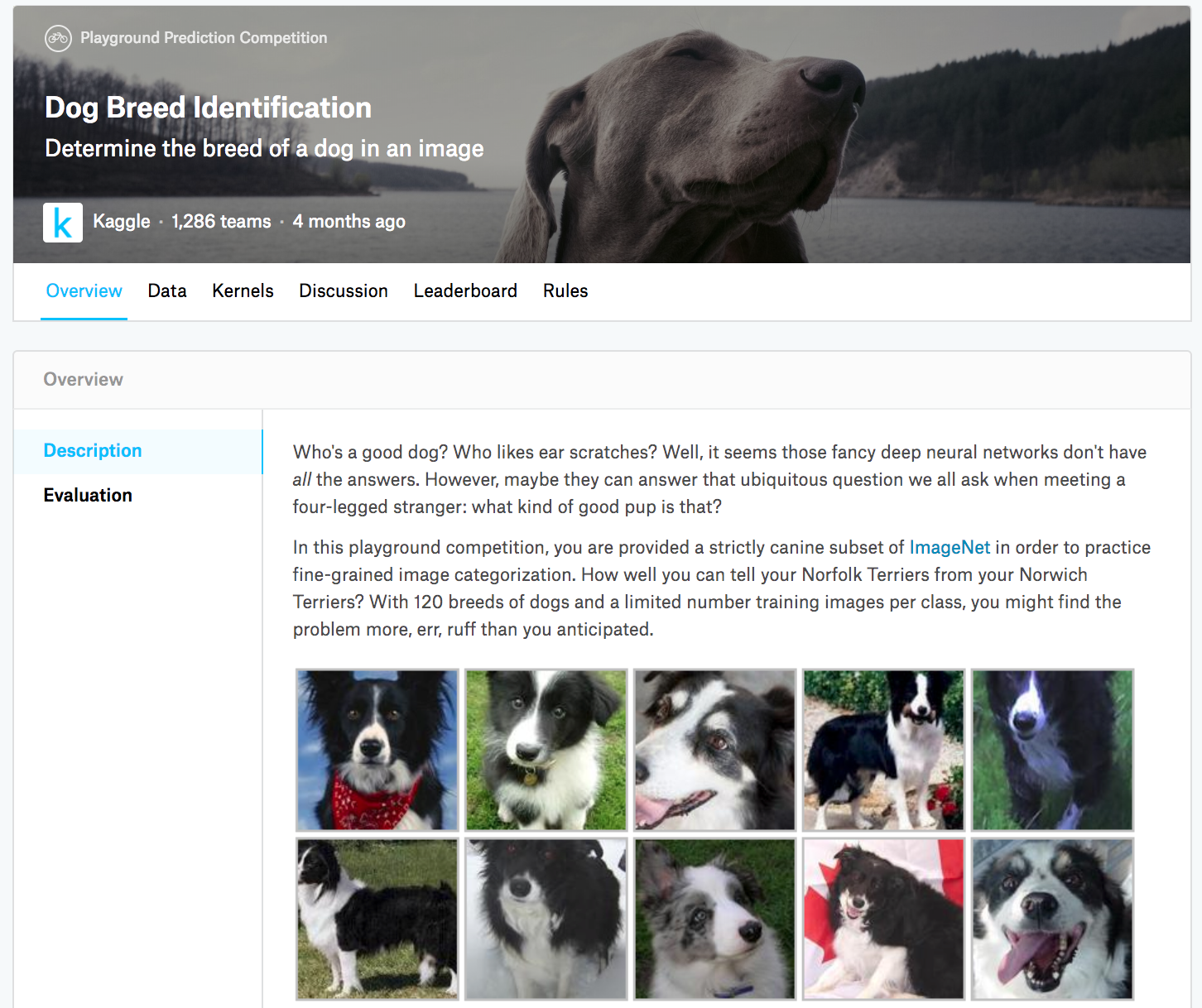 Dog.breed.identification.competition.website..The.data.set.for.the.competition.can.be.accessed.by.clicking.the.“Data”.tab..(Source:.www.